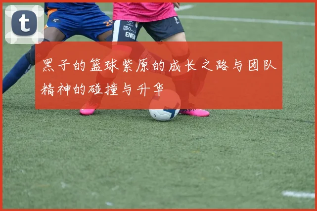 黑子的篮球紫原的成长之路与团队精神的碰撞与升华